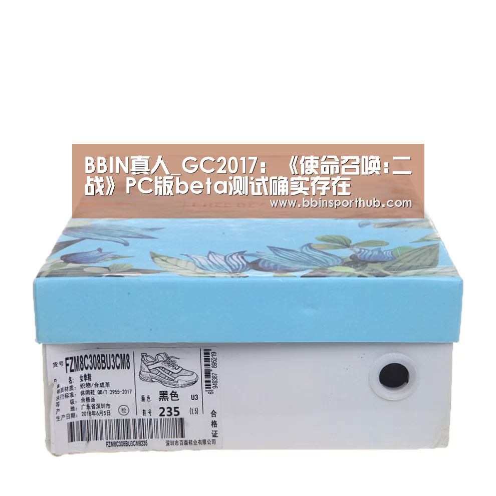 BBIN真人_GC2017:《使命召唤:二战》PC版beta测试确实存在(图3) BBIN捕鱼