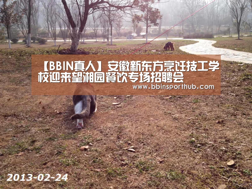 【BBIN真人】安徽新东方烹饪技工学校迎来望湘园餐饮专场招聘会(图2) BBIN官网