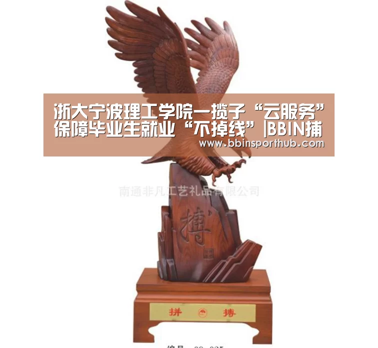 浙大宁波理工学院一揽子“云服务”保障毕业生就业“不掉线”|BBIN捕鱼(图2) BBIN捕鱼