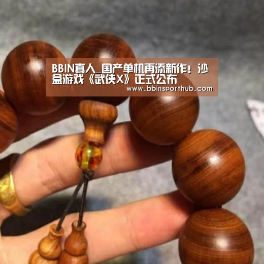 BBIN真人_国产单机再添新作!沙盒游戏《武侠X》正式公布(图1) BBIN真人