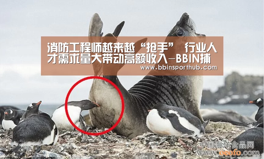 消防工程师越来越“抢手” 行业人才需求量大带动高额收入-BBIN捕鱼(图1) BBIN官网