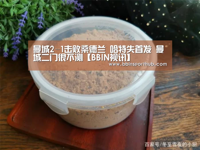 曼城2-1击败桑德兰 哈特失首发 曼城二门很不测【BBIN视讯】(图1) BBIN捕鱼