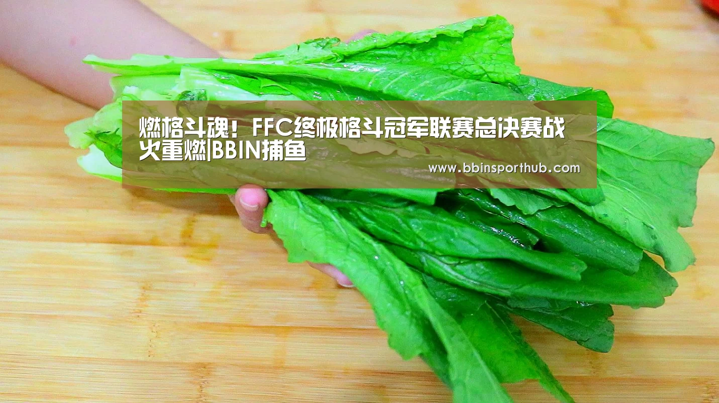 燃格斗魂!FFC终极格斗冠军联赛总决赛战火重燃|BBIN捕鱼(图1) BBIN真人