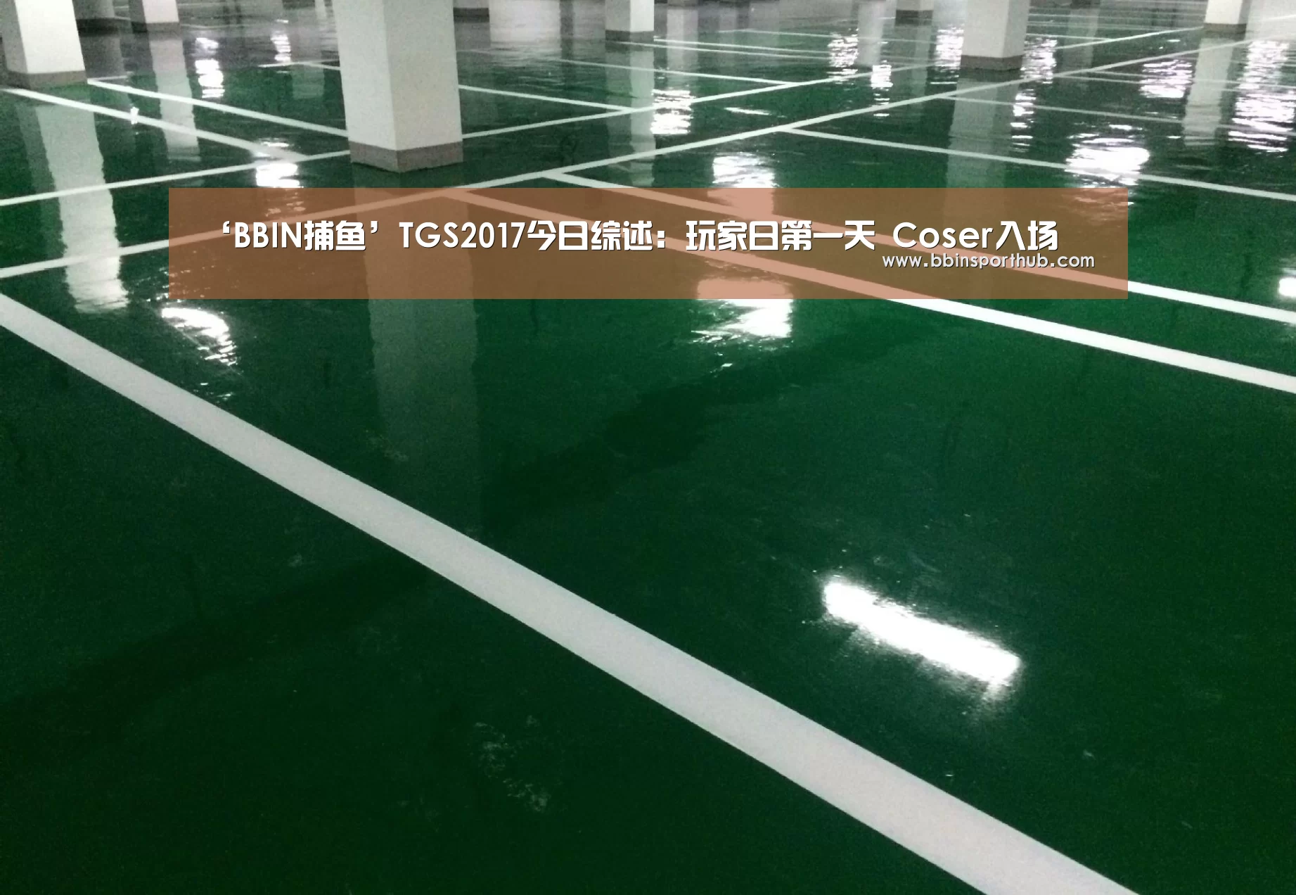 ‘BBIN捕鱼’TGS2017今日综述:玩家日第一天 Coser入场(图2) BBIN捕鱼