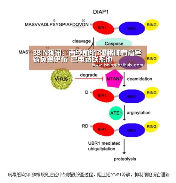 BBIN视讯