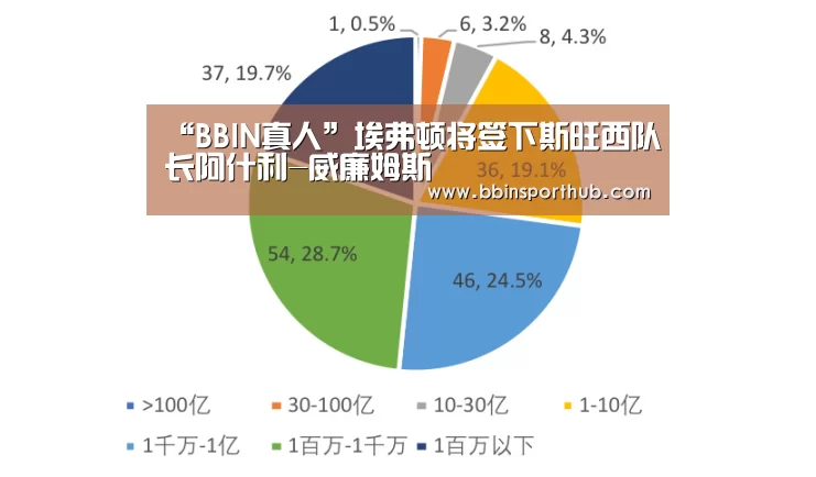 “BBIN真人”埃弗顿将签下斯旺西队长阿什利-威廉姆斯(图3) BBIN真人
